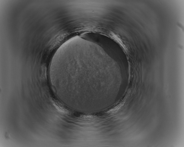 X0000095120205200801041230