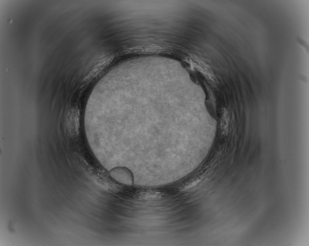 X0000095120206200801041230