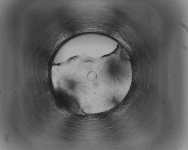 X0000095120207200801041230