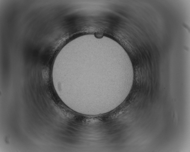 X0000095120208200801041230