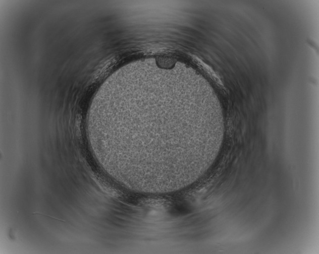 X0000095120209200801041230