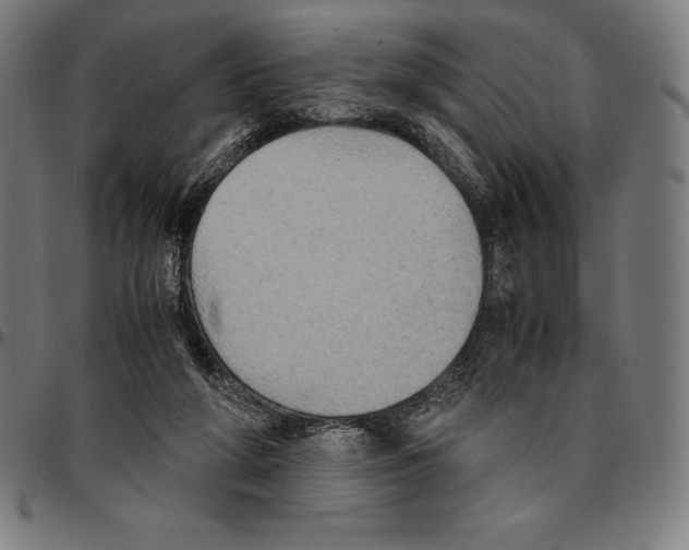 X0000095120210200801041230