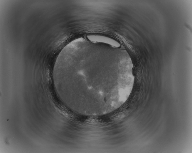 X0000095120211200801041230