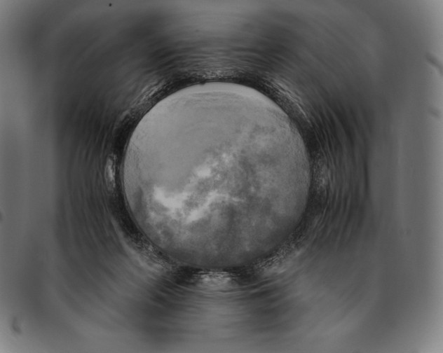 X0000095120214200801041230