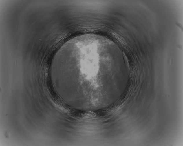 X0000095120215200801041230