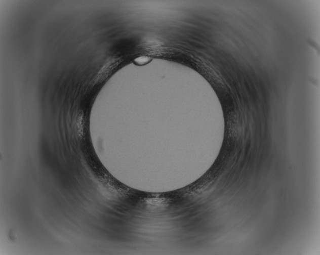 X0000095120216200801041230