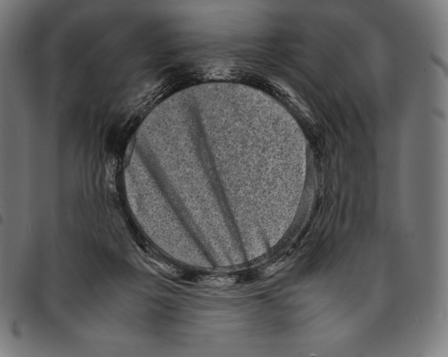 X0000095120217200801041230