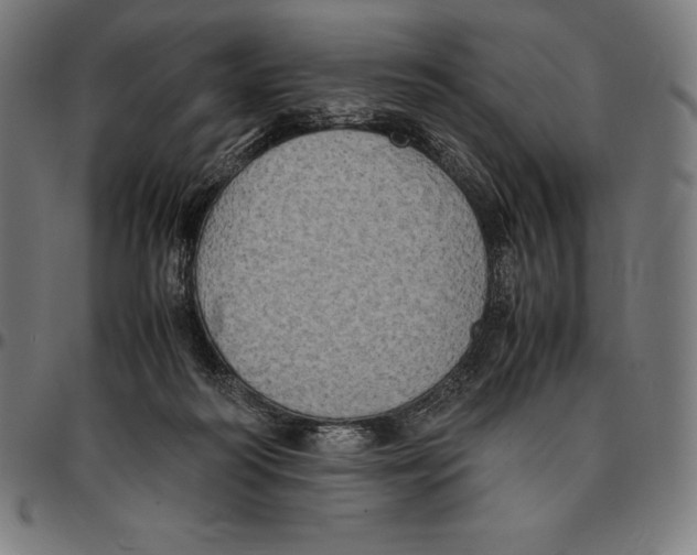 X0000095120218200801041230