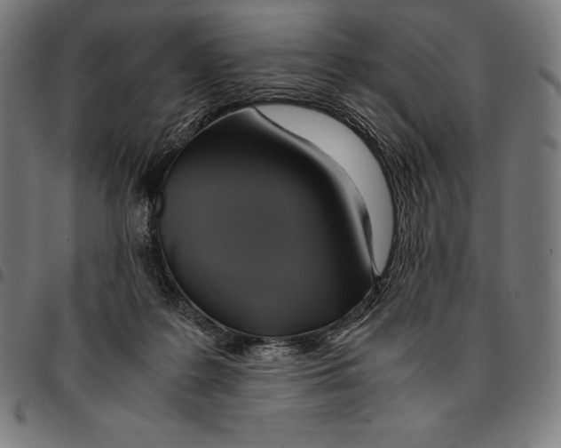 X0000095120219200801041230