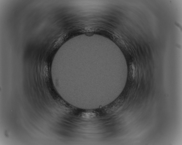 X0000095120220200801041230