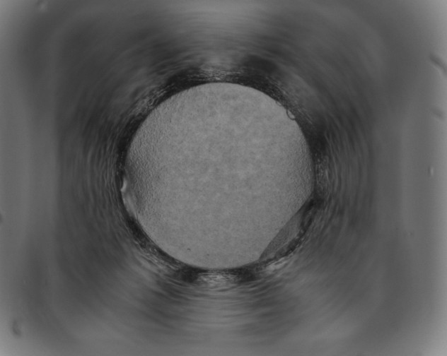 X0000095120221200801041230