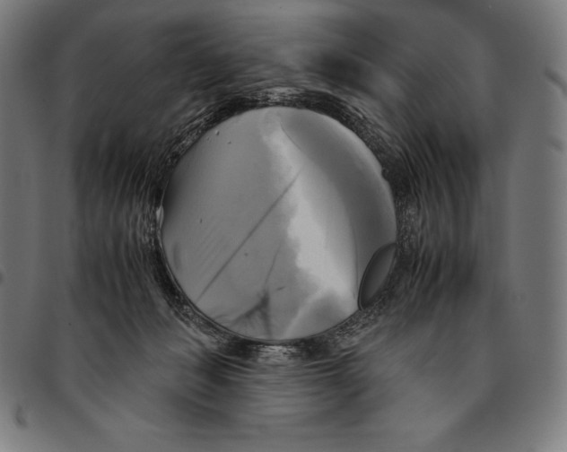 X0000095120222200801041230