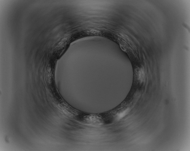 X0000095120223200801041230