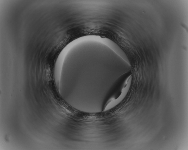 X0000095120224200801041230