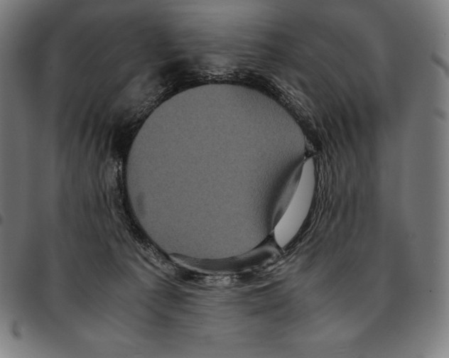 X0000095120225200801041230