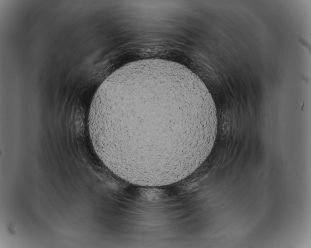 X0000095120226200801041230