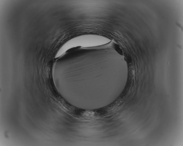 X0000095120227200801041230