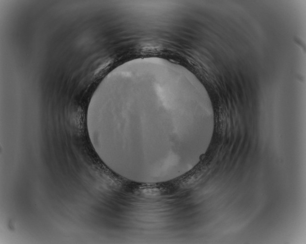 X0000095120228200801041230