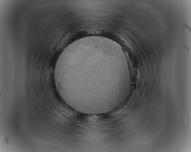 X0000095120229200801041230