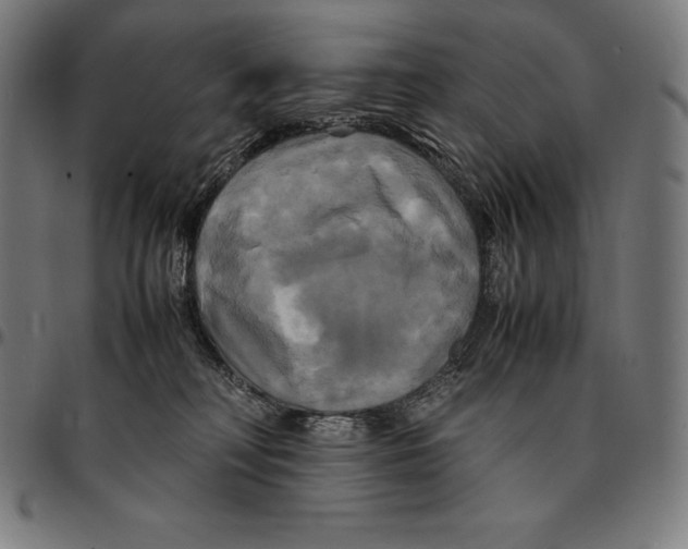 X0000095120230200801041230