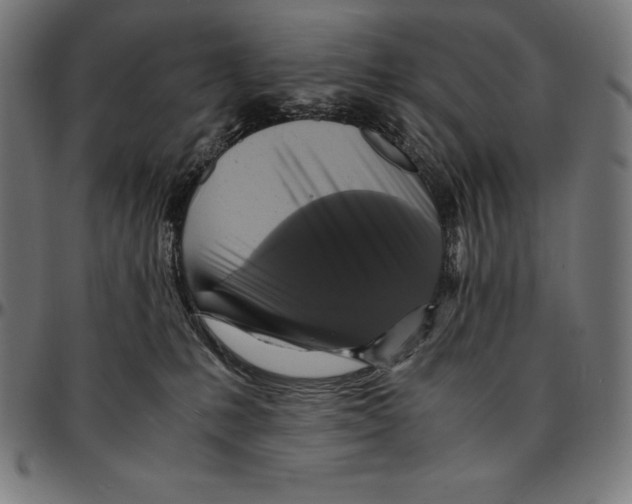 X0000095120231200801041230