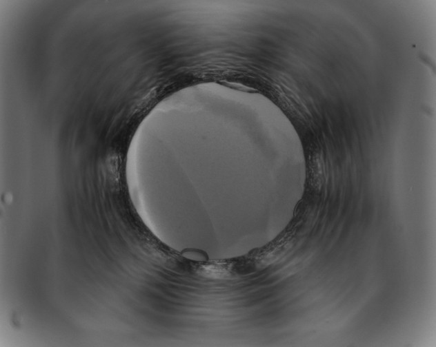 X0000095120232200801041230