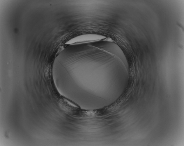 X0000095120233200801041230