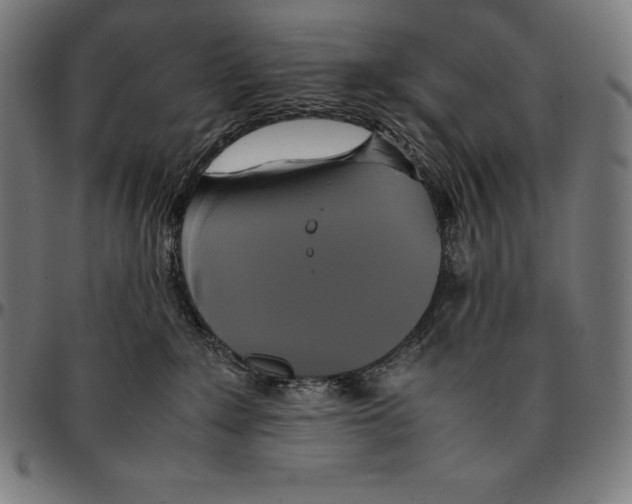 X0000095120235200801041230