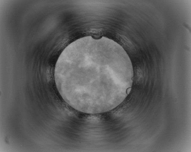 X0000095120236200801041230