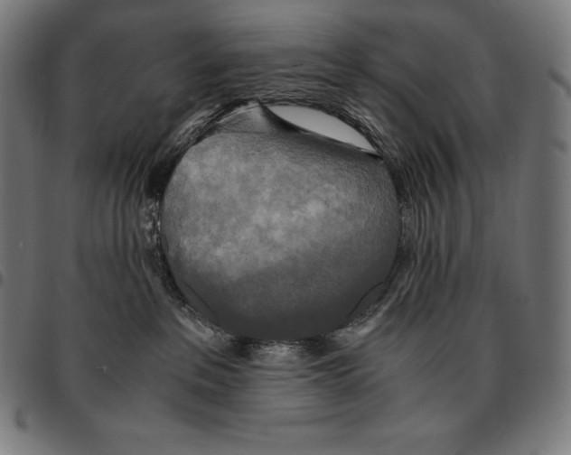 X0000095120237200801041230