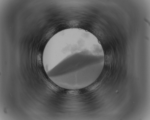 X0000095120238200801041230