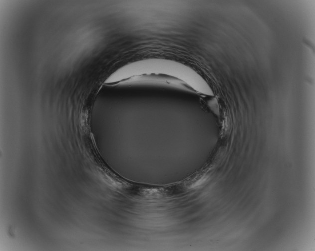 X0000095120239200801041230