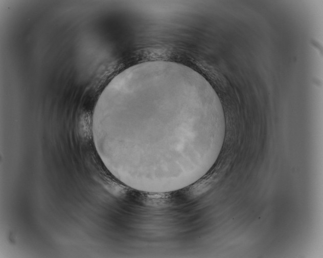 X0000095120240200801041230