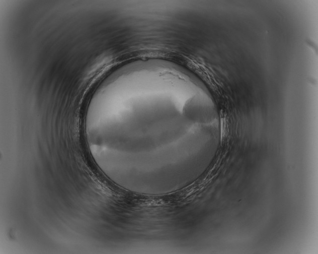 X0000095120243200801041229