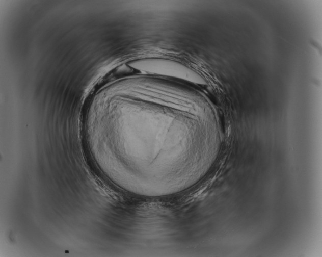 X0000095120244200801041229