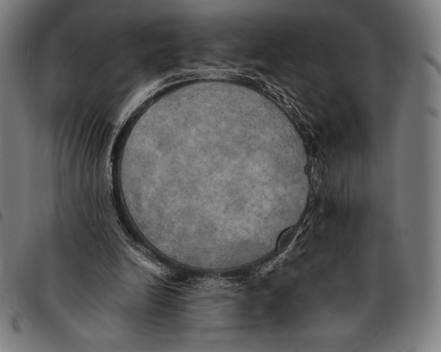 X0000095120246200801041229