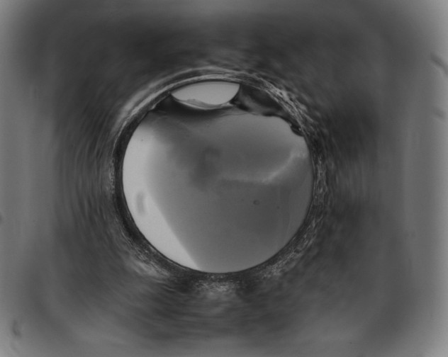 X0000095120247200801041229