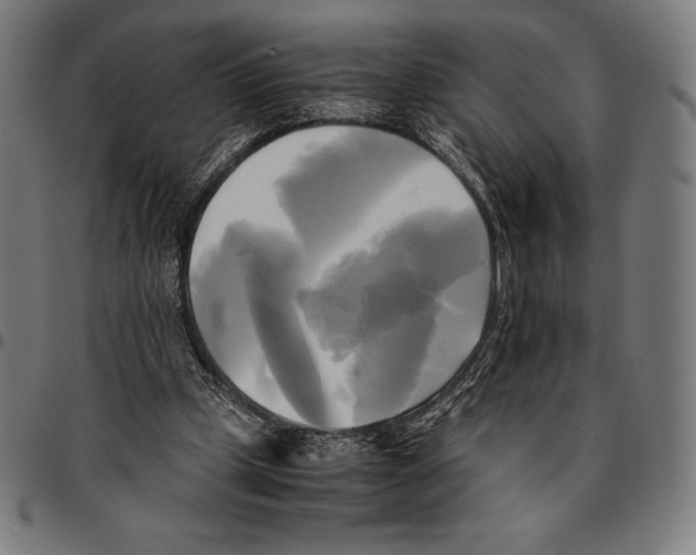 X0000095120249200801041229