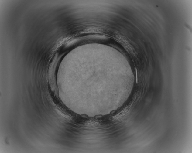 X0000095120252200801041229