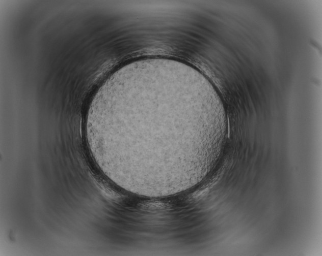 X0000095120253200801041229