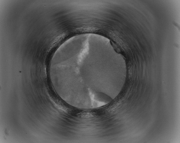 X0000095120254200801041229