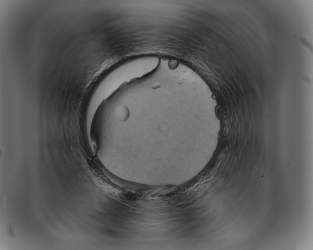 X0000095120256200801041229