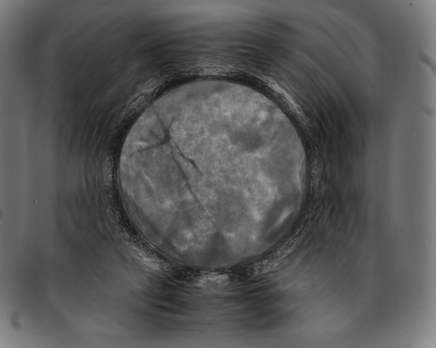 X0000095120257200801041229