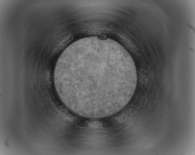 X0000095120258200801041230