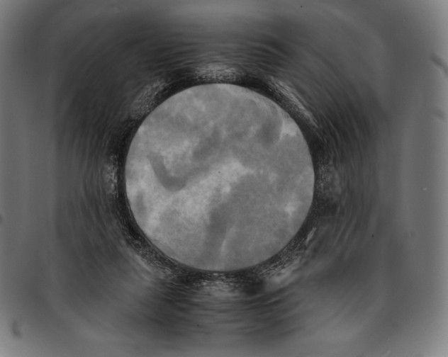 X0000095120259200801041230