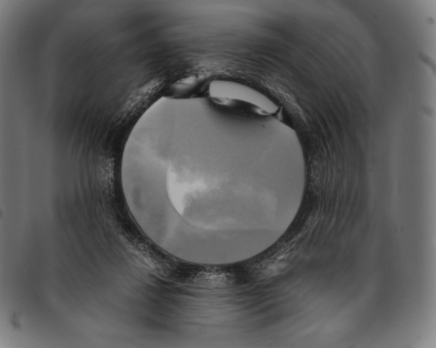 X0000095120260200801041230