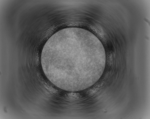 X0000095120261200801041230