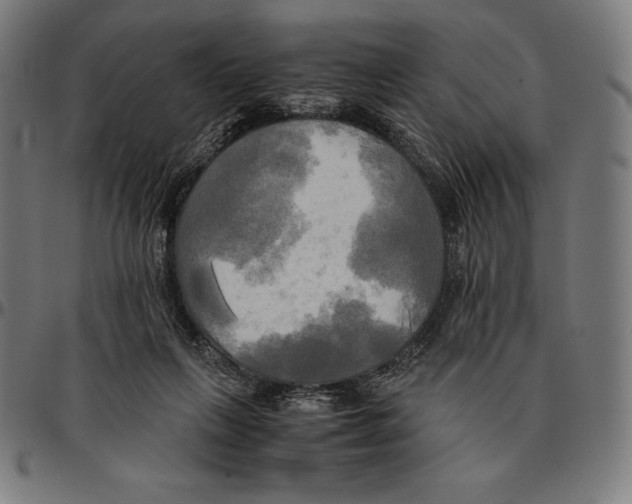 X0000095120263200801041230