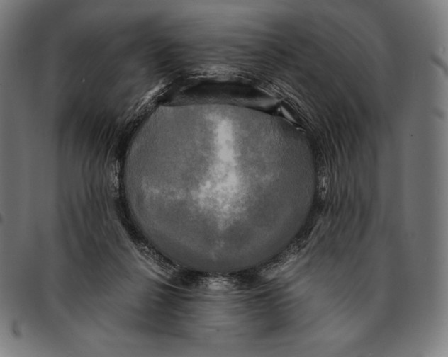 X0000095120264200801041230