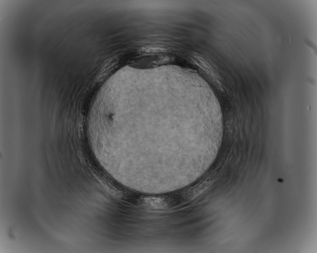 X0000095120265200801041230